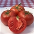 Boxcar Willie - Organic Heirloom Tomato Seeds
