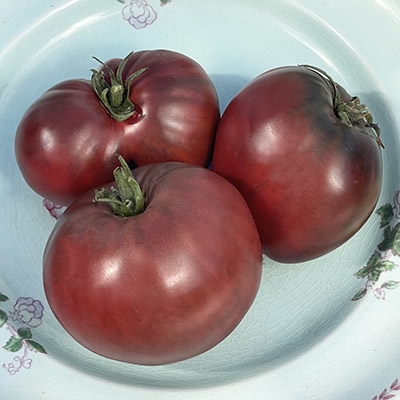 Brad's Black Heart Tomato