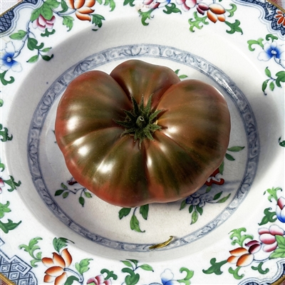 BrandyFred Dwarf - Tomato