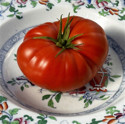 Brandywine, Red Tomato