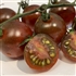 Brown Berry - Organic Heirloom Tomato Seeds
