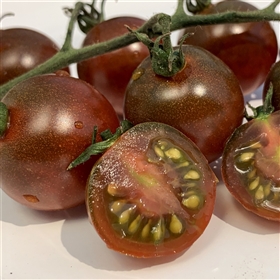 Brown Berry Tomato