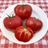Buffalo Heart Giant - Heirloom Tomato Seeds