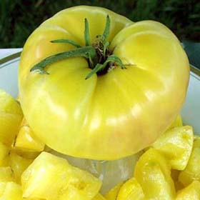 Candy's Old Yellow - Heirloom Tomato Seeds
