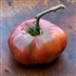 Carol Chyko's Big Paste Black - Organic Heirloom Tomato Seeds