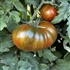 Chocolate Lightning - Dwarf Organic Tomato Seeds