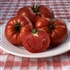 Danka - Heirloom Tomato Seeds
