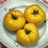 Dagma's Russian Yellow-Organic Heirloom Tomatoes