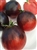Dark Tiger - Organic Heirloom Tomato Seeds