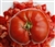 Dr. Neal - Organic Heirloom Tomato Seeds