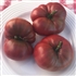 Dwarf Wild Spudleaf - Organic Tomato Seeds