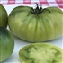 Dwarf Beryl Beauty - Organic Tomato Seeds