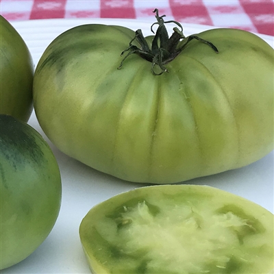 Dwarf Beryl Beauty - Tomato