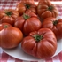 Dwarf Hannah's Prize - Organic Tomato Seeds