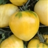 Dwarf Lemon Ice - Organic Tomato Seeds