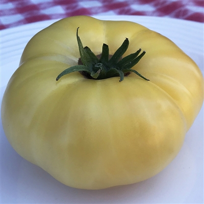 Dwarf Mr. Snow - Tomato