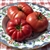 Earl's Faux - Organic Heirloom Tomato Seeds