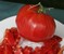 Elmer's Old German - Organic Heirloom Tomato Seeds