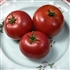 Eva Purple Ball - Organic Heirloom Tomato Seeds
