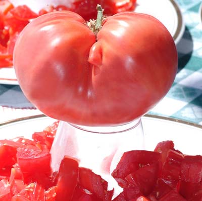 Florida Pink Tomato