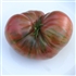 Fred's Tie Dye - Organic Tomato Seeds