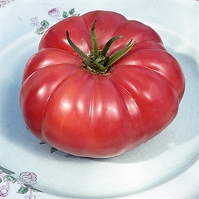 Greek Rose-Heirloom Tomato