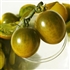 Green Grape - Organic Tomato Seeds