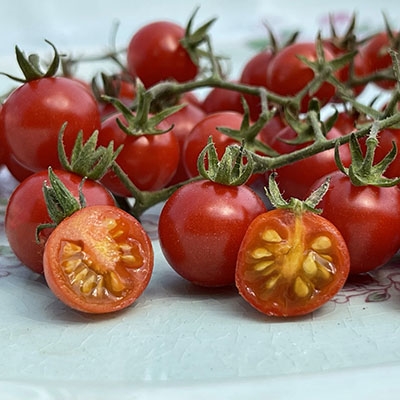 Hawaiian Currant Tomato