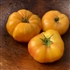 Hillbilly - Organic Heirloom Tomato Seeds