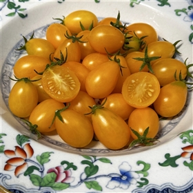 Ildi Tomato