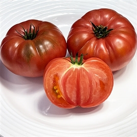 Italian Tree Tomato