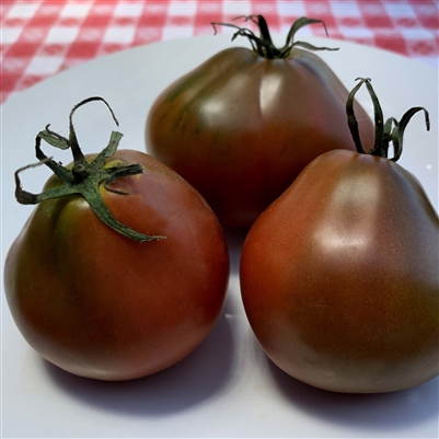 Japanese Black Trifele Tomato