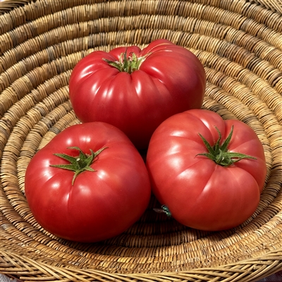 Jennie - Heirloom Tomato