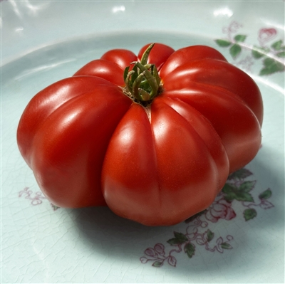 Large Red Tomato
