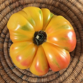 Lillian's Yellow Heirloom Tomato