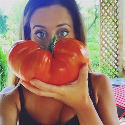 Linnie's Oxheart Organic Tomato Seeds | TomatoFest