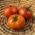 Long Keeper - Organic Heirloom Tomato Seeds