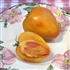 Orange Russian 117 - Organic Heirloom Tomato Seeds