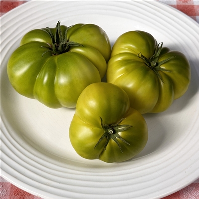 Spear's Tennessee Green Tomato