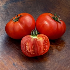 Super Choice Tomato