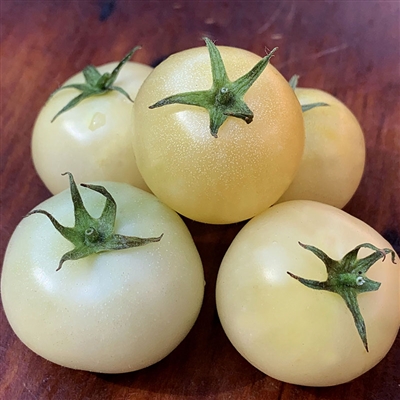 Super Snow White Tomato