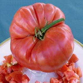 Tappy's Finest-Heirloom Tomato