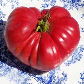 Tennessee Britches-Heirloom Tomato