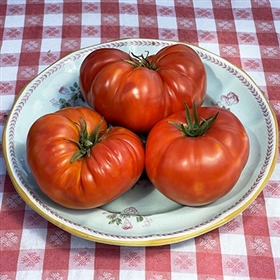 Thieneman's Australian Heart Heirloom Tomato