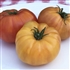 Wherokowhai - Dwarf Organic Tomato Seeds