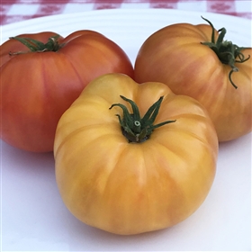 Wherokowhai - Dwarf Tomato