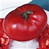 Brimmer - Organic Heirloom Tomato Seeds