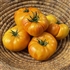 Georgia Streak - Organic Heirloom Tomato Seeds