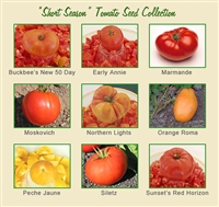 Short Season Tomato Seed Collection