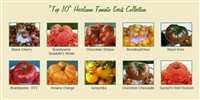 "TOP 10" Heirloom Tomatoes Seed Collection
